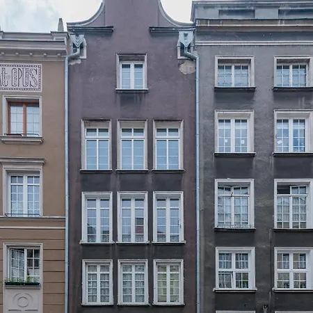 New & * Gdansk
